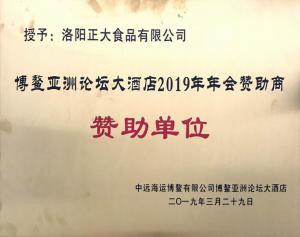 45.博鼇亞洲論壇2019年年會讚助單位 2019.3